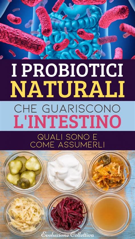 Fonti Naturali Di Probiotici